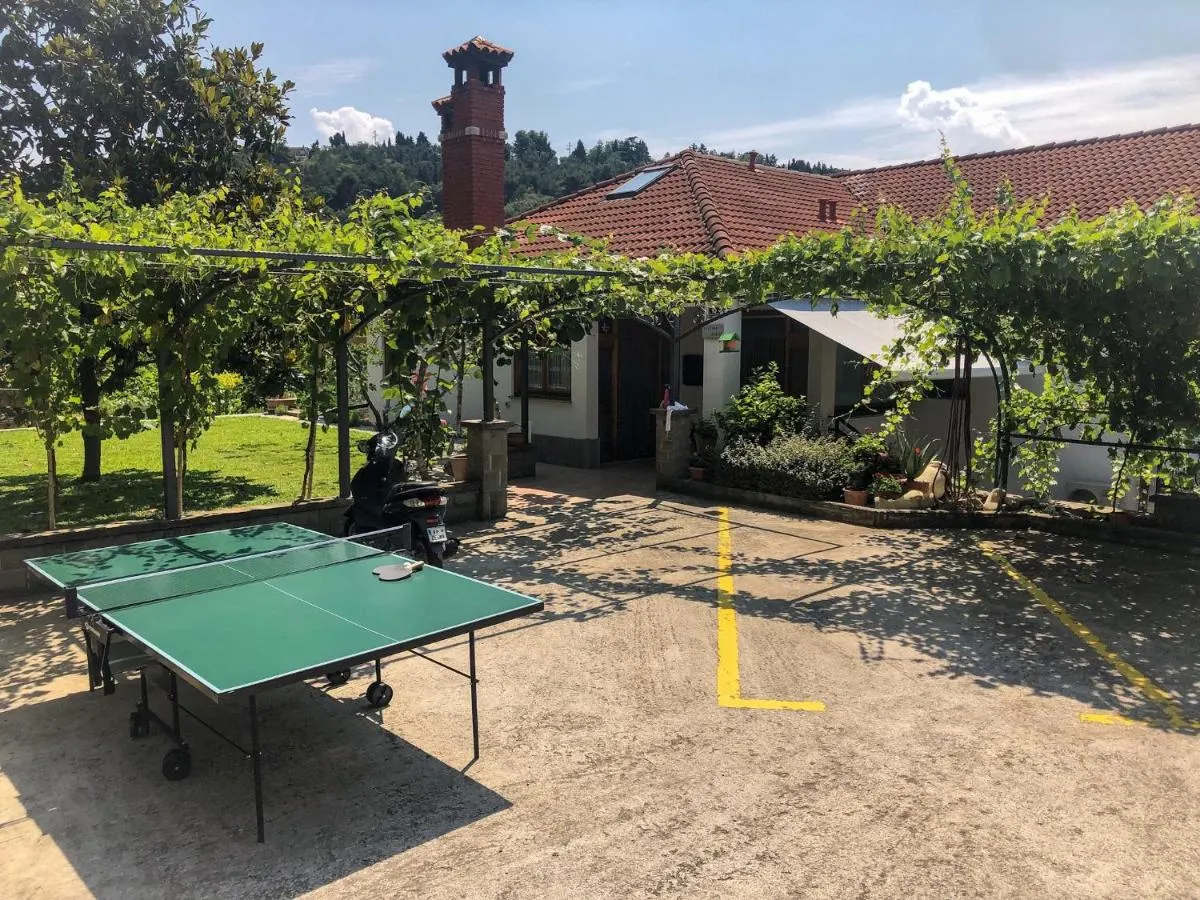 Miza za namizni tenis na dvorišču pod trto